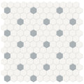 Canvas White w/ Cloud Blue