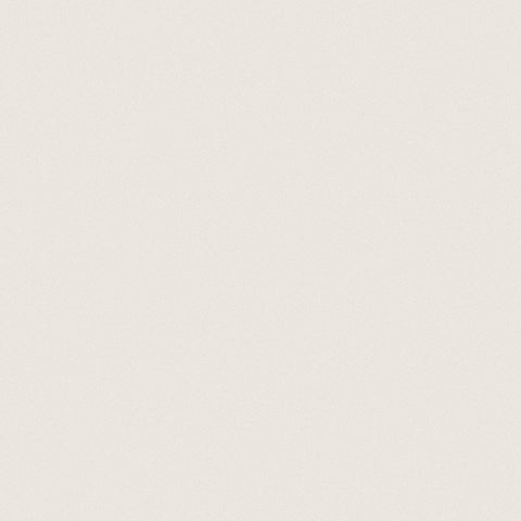 24 X 24 In Prima Warm White Matte Rectified Unglazed Porcelain