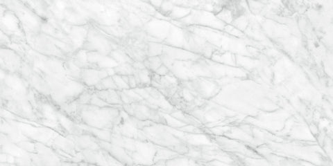 24 X 48 In Plata Carrara Abisso Polished Rectified Glazed Porcelain