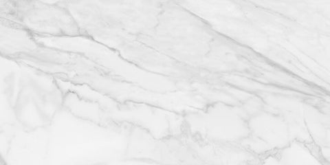 24 x 48 in. Plata Statuario Brina Polished Rectified Glazed Porcelain Wall Tile