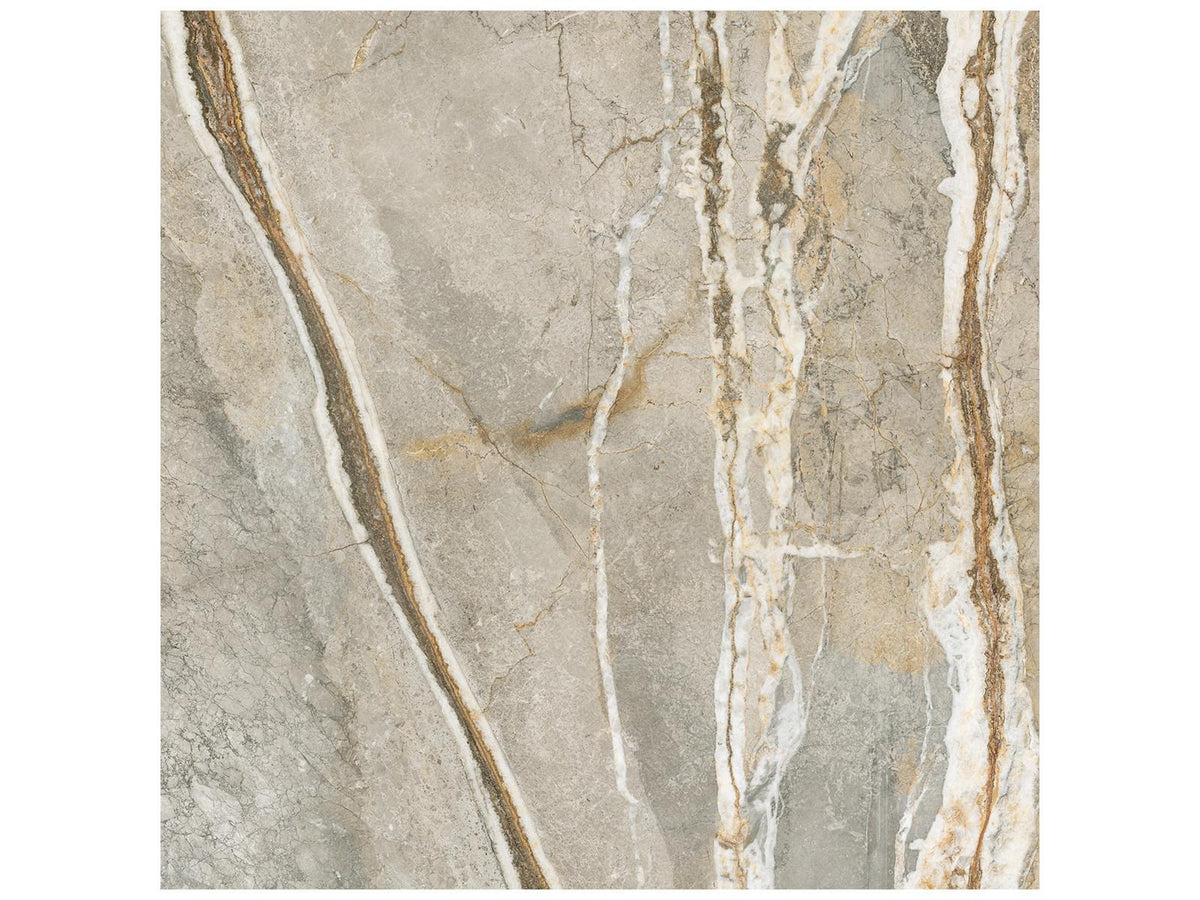 36 x 36 in Majesto Foresta Polished Rectified Colorsync Porcelain Tile
