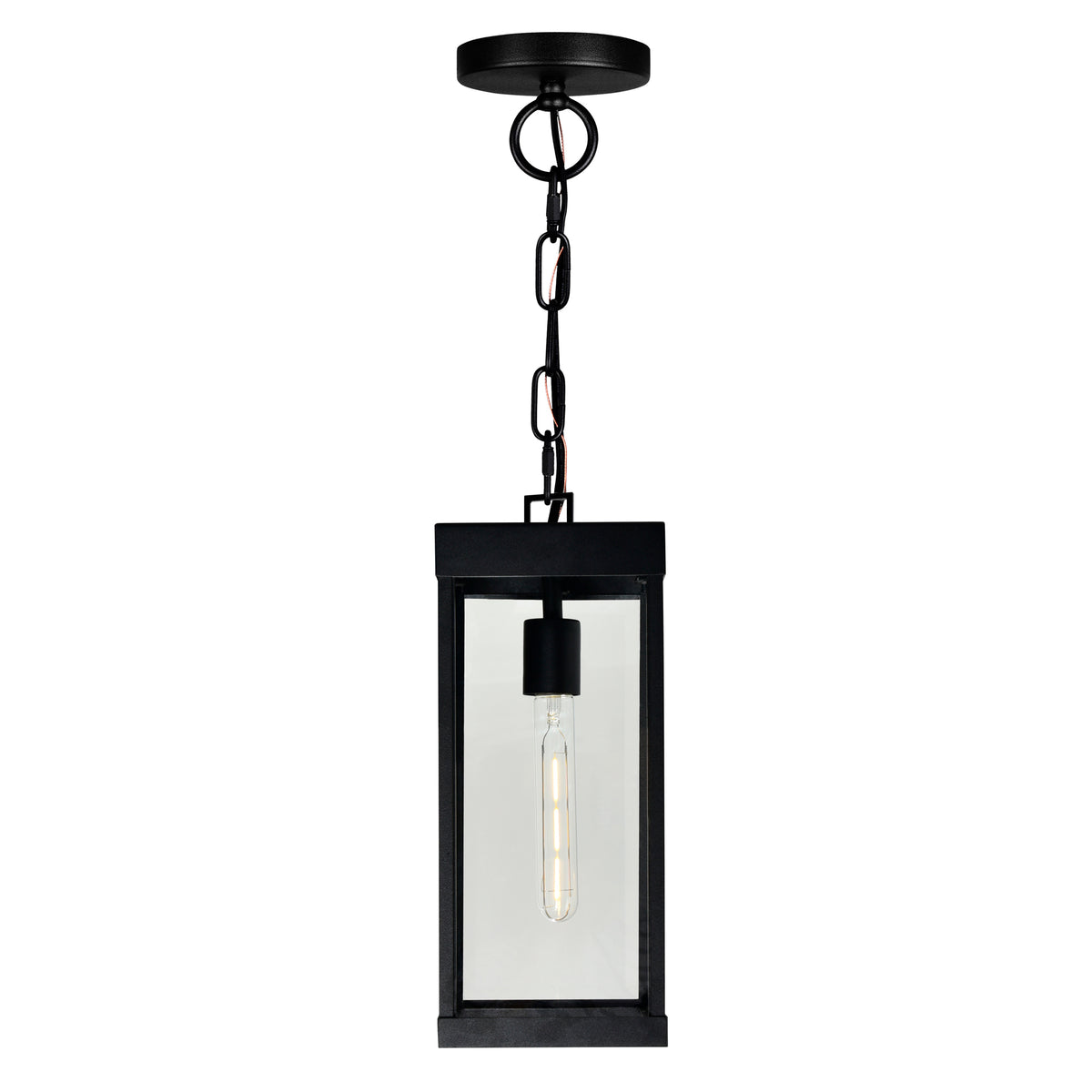 Windsor 1 Light Black Outdoor Pendant
