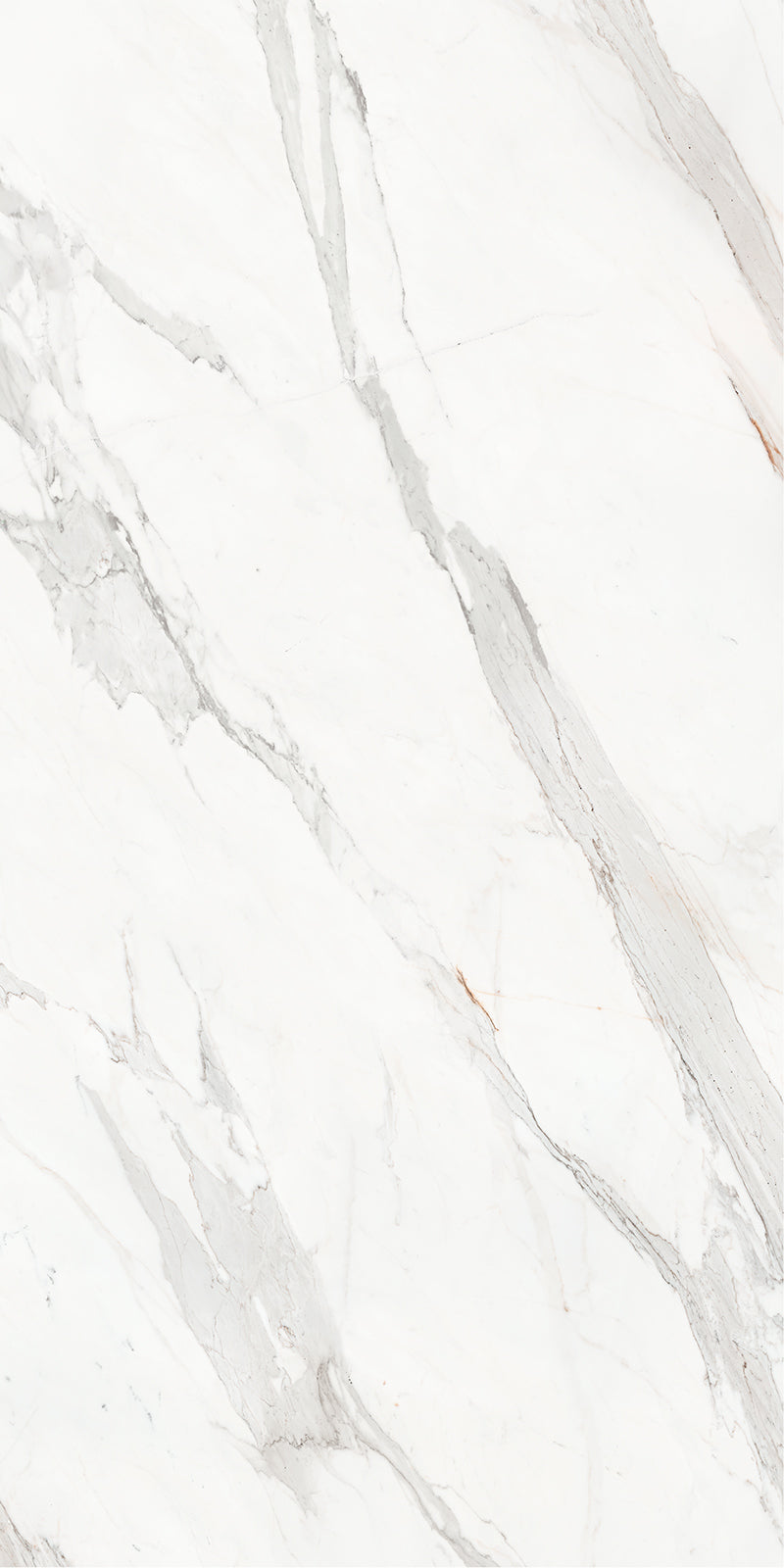 63 x 126 in Majesto Calacatta Borghini Honed 6 mm, full slab face
