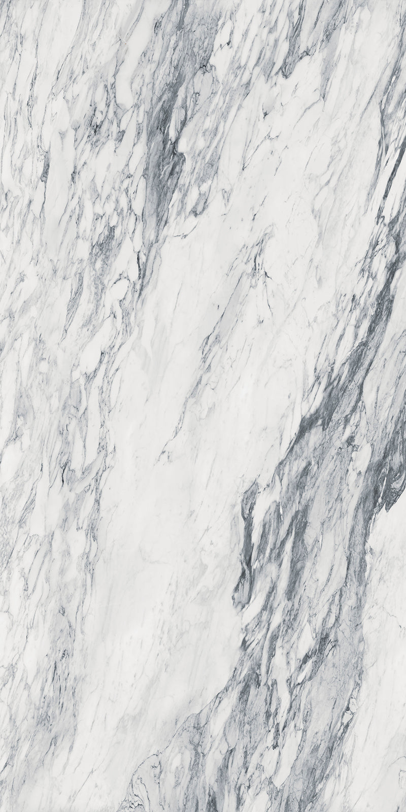 63 x 126 in Majesto Calacatta Corchia Polished 6 mm, full slab face