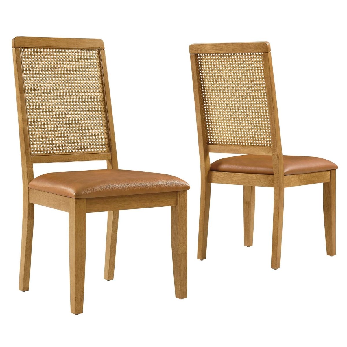Arlo Vegan Leather Upholstered Faux Rattan and Wood Dining Side Chairs - Set of 2 - BUILDMYPLACE