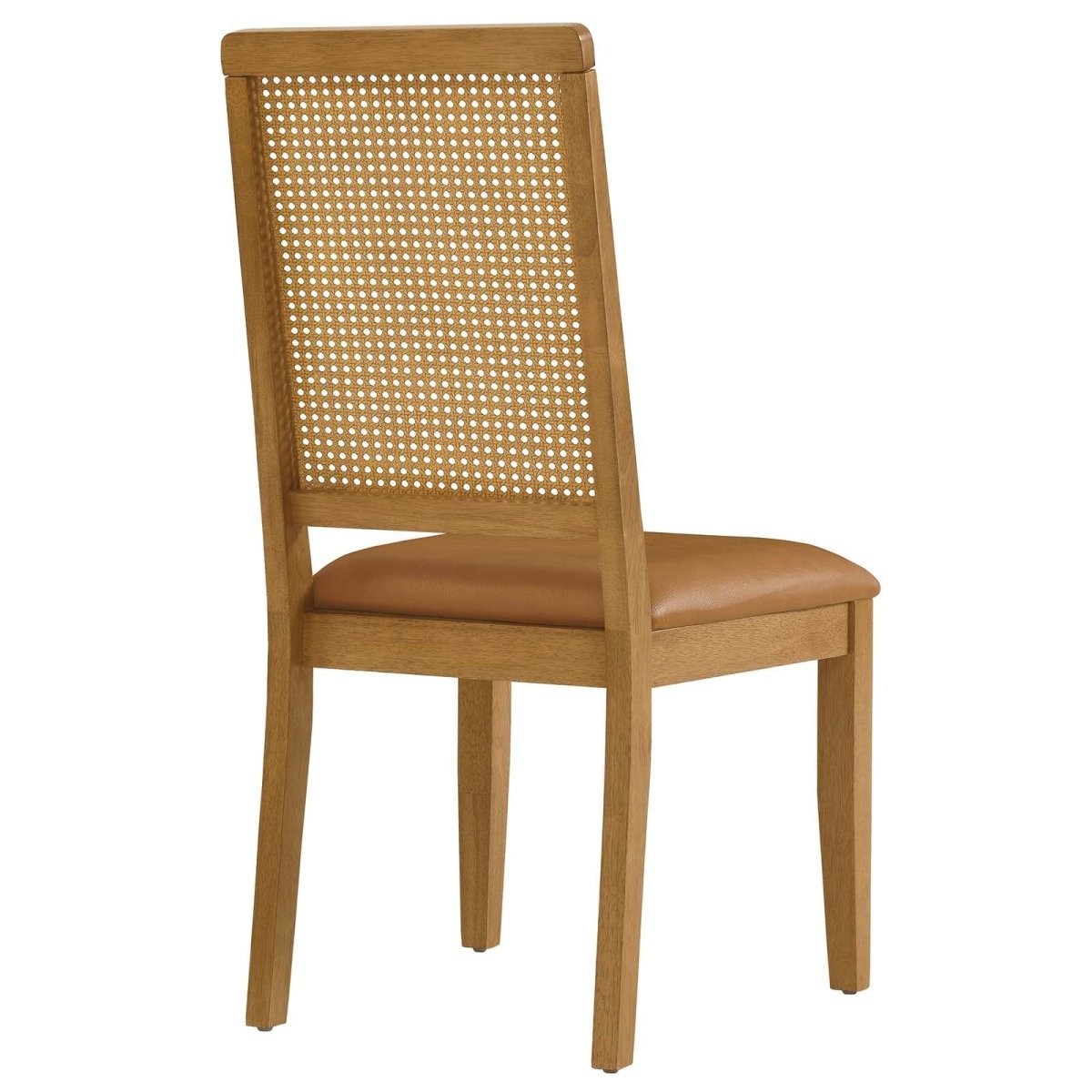 Arlo Vegan Leather Upholstered Faux Rattan and Wood Dining Side Chairs - Set of 2 - BUILDMYPLACE
