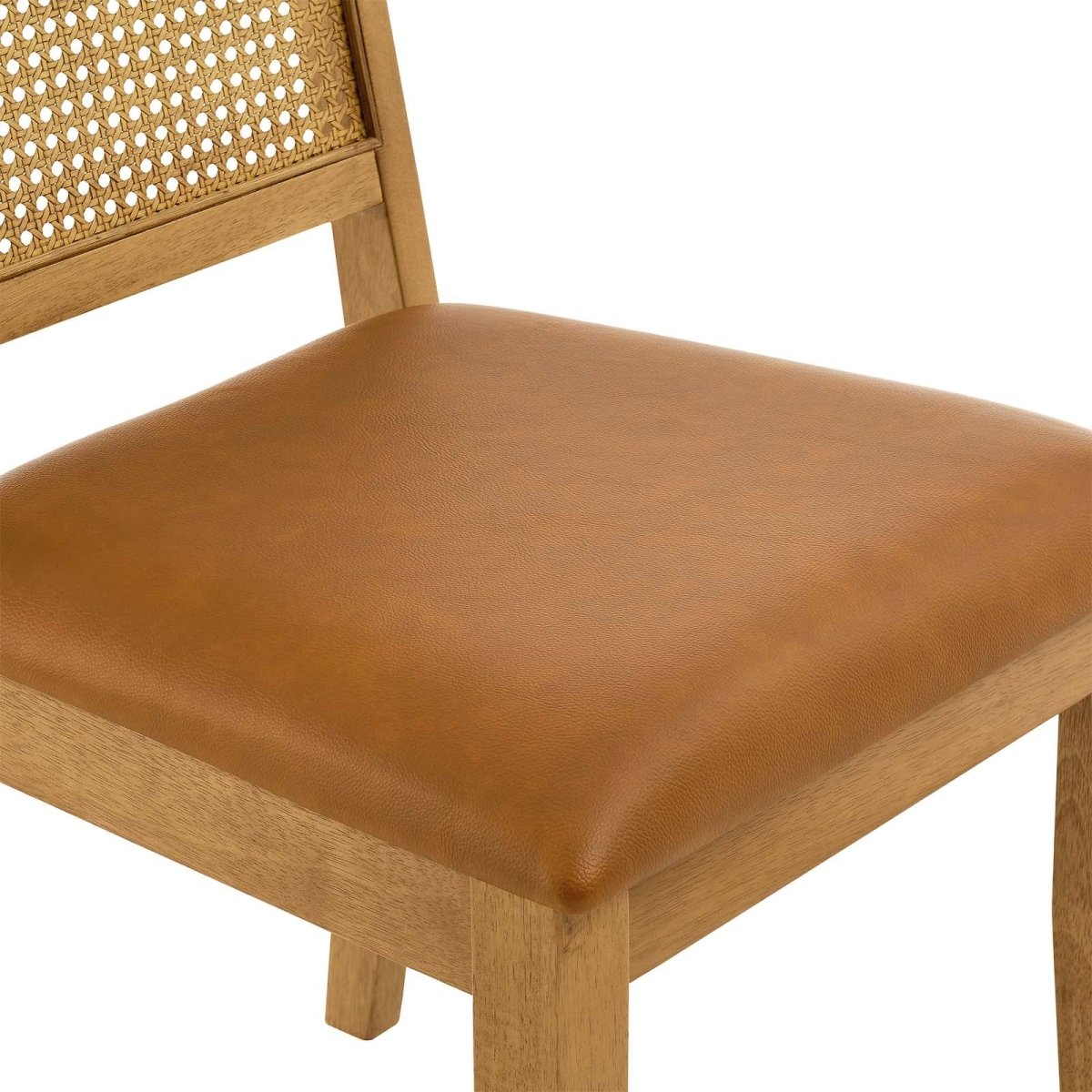 Arlo Vegan Leather Upholstered Faux Rattan and Wood Dining Side Chairs - Set of 2 - BUILDMYPLACE