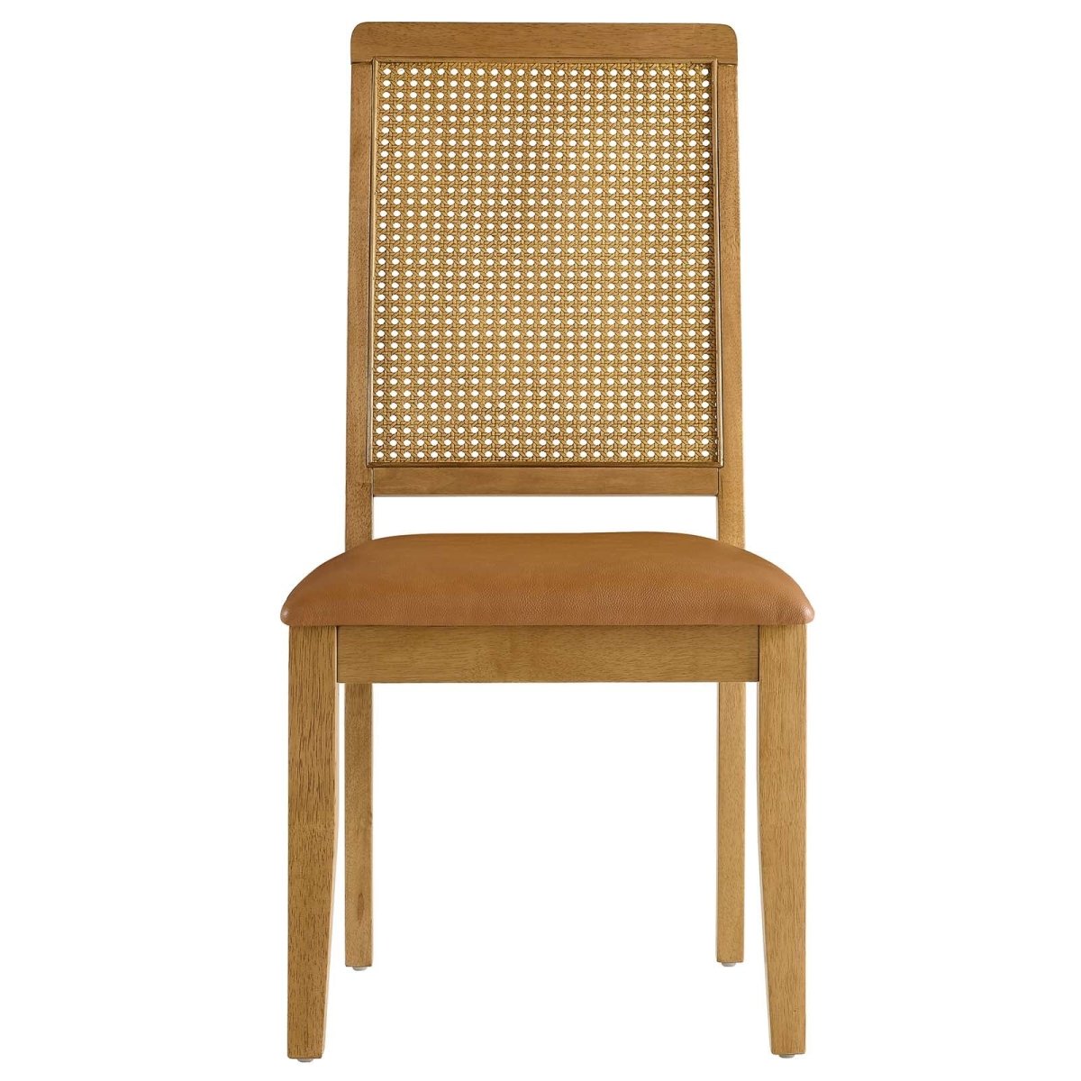 Arlo Vegan Leather Upholstered Faux Rattan and Wood Dining Side Chairs - Set of 2 - BUILDMYPLACE