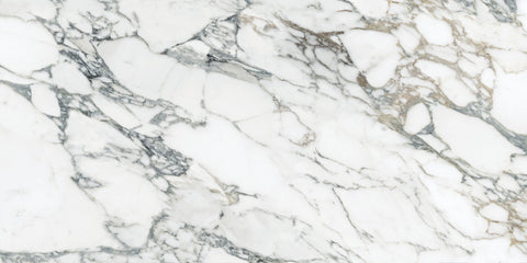 24 x 48 in Majesto Arabescato Corchia Honed Rectified Colorsync Porcelain Tile