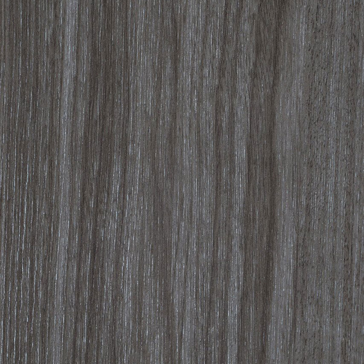 Palladio 4H Interior Door in Gray Oak Finish