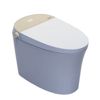 Smart Toilets