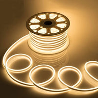 LED Neon Light 
