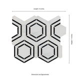 11" X 13" Georama Nero Polished Geometric Black Hexagon Mosaic Sheet (9.9SQ FT/CTN) - BUILDMYPLACE