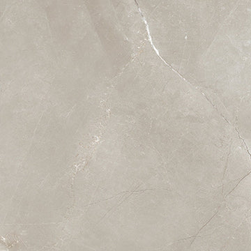 Pulpis Grey