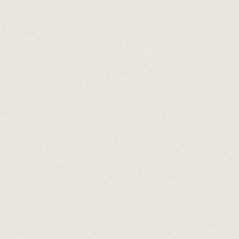 12 X 12 In Prima Warm White Matte Rectified Unglazed Porcelain