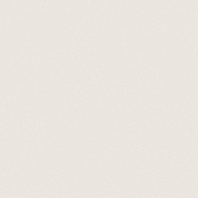 12 X 12 In Prima Warm White Polished Rectified Unglazed Porcelain - BUILDMYPLACE