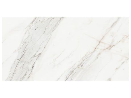 12 x 24 in Majesto Calacatta Borghini Honed Rectified Colorsync Porcelain Tile