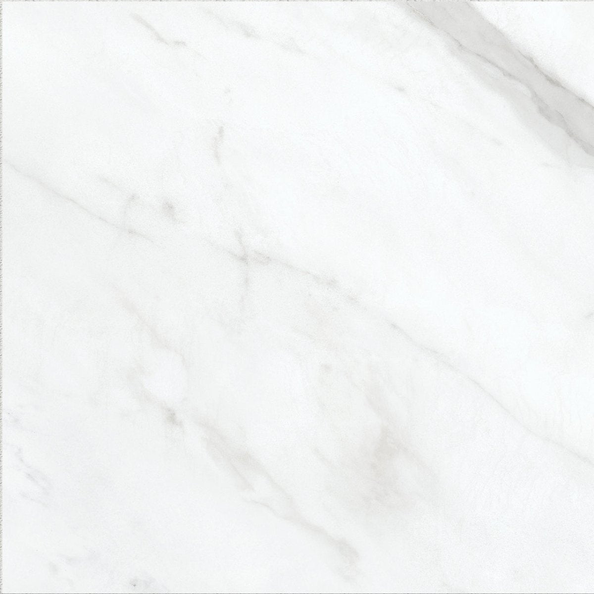 13 X 13 In Altezza Carrara Matte Pressed Glazed Porcelain - BUILDMYPLACE