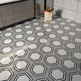 14 X 16 in. Carrara picket & Black Line Thassos Hexagon Waterjet Marble Mosaic Tile - BUILDMYPLACE