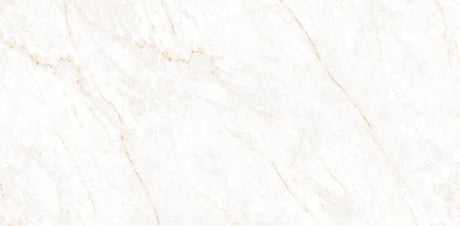 24 In. X 48 In. Calacatta Glam Polished - Porcelain Wall & Floor Tile (15.50 Sqft/Case) - BUILDMYPLACE