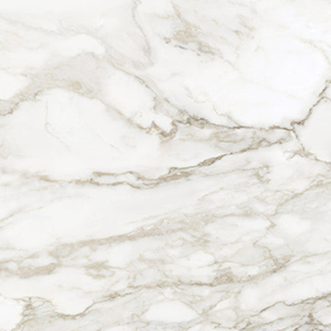 24 X 24 In La Marca Calacatta Paonazzo Honed Rectified Glazed Porcelain