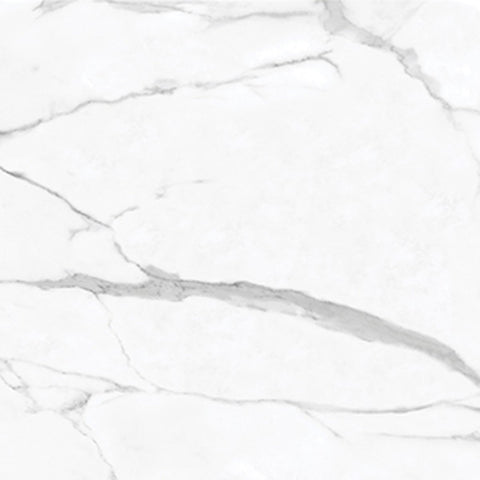 24 X 24 In La Marca Statuario Nuovo Honed Rectified Glazed Porcelain