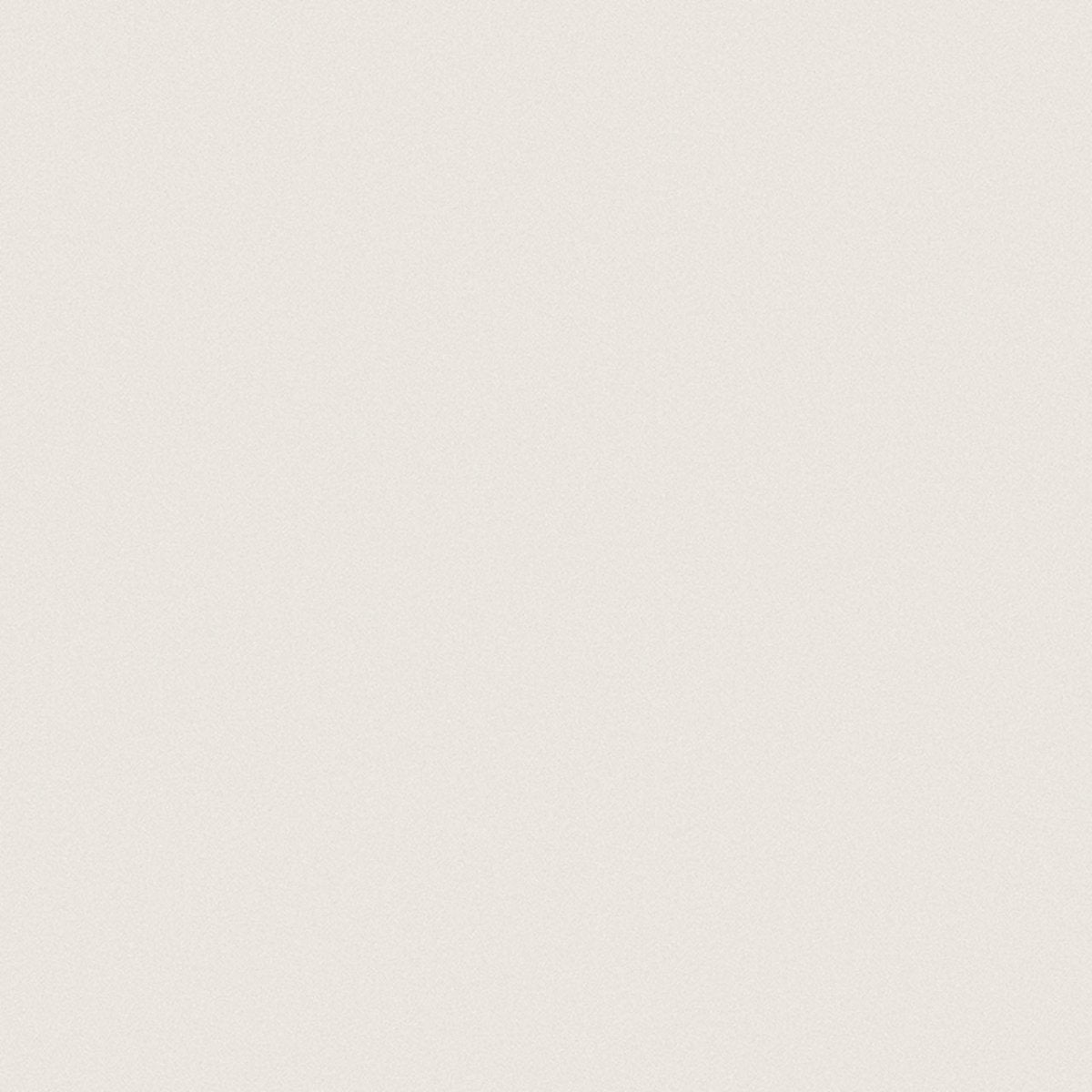 24 X 24 In Prima Warm White Matte Rectified Unglazed Porcelain - BUILDMYPLACE