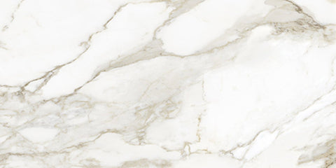 24 X 48 In La Marca Calacatta Paonazzo Honed Rectified Glazed Porcelain (15.5 SQFT/CTN)