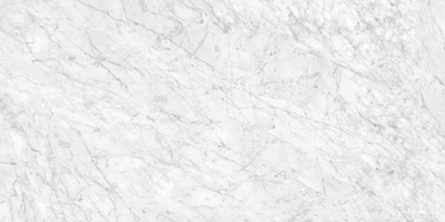 24 X 48 In La Marca Carrara Polished Rectified Glazed Porcelain - BUILDMYPLACE