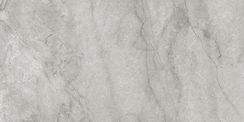 24 X 48 In La Marca Paradiso Argento Polished Rectified Glazed Porcelain
