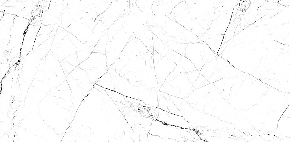 24" x 48" Pietra White & Black Polished Porcelain Wall & Floor Tile - BUILDMYPLACE
