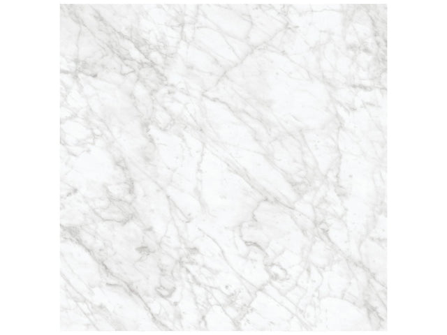 24 x 24 in Majesto Bianco Gioia Honed Rectified Colorsync Porcelain Tile