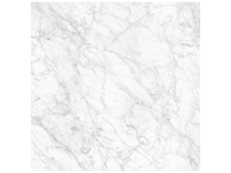24 x 24 in Majesto Bianco Gioia Polished Rectified Colorsync Porcelain Tile