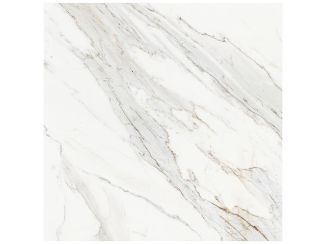 24 x 24 in Majesto Calacatta Borghini Honed Rectified Colorsync Porcelain Tile