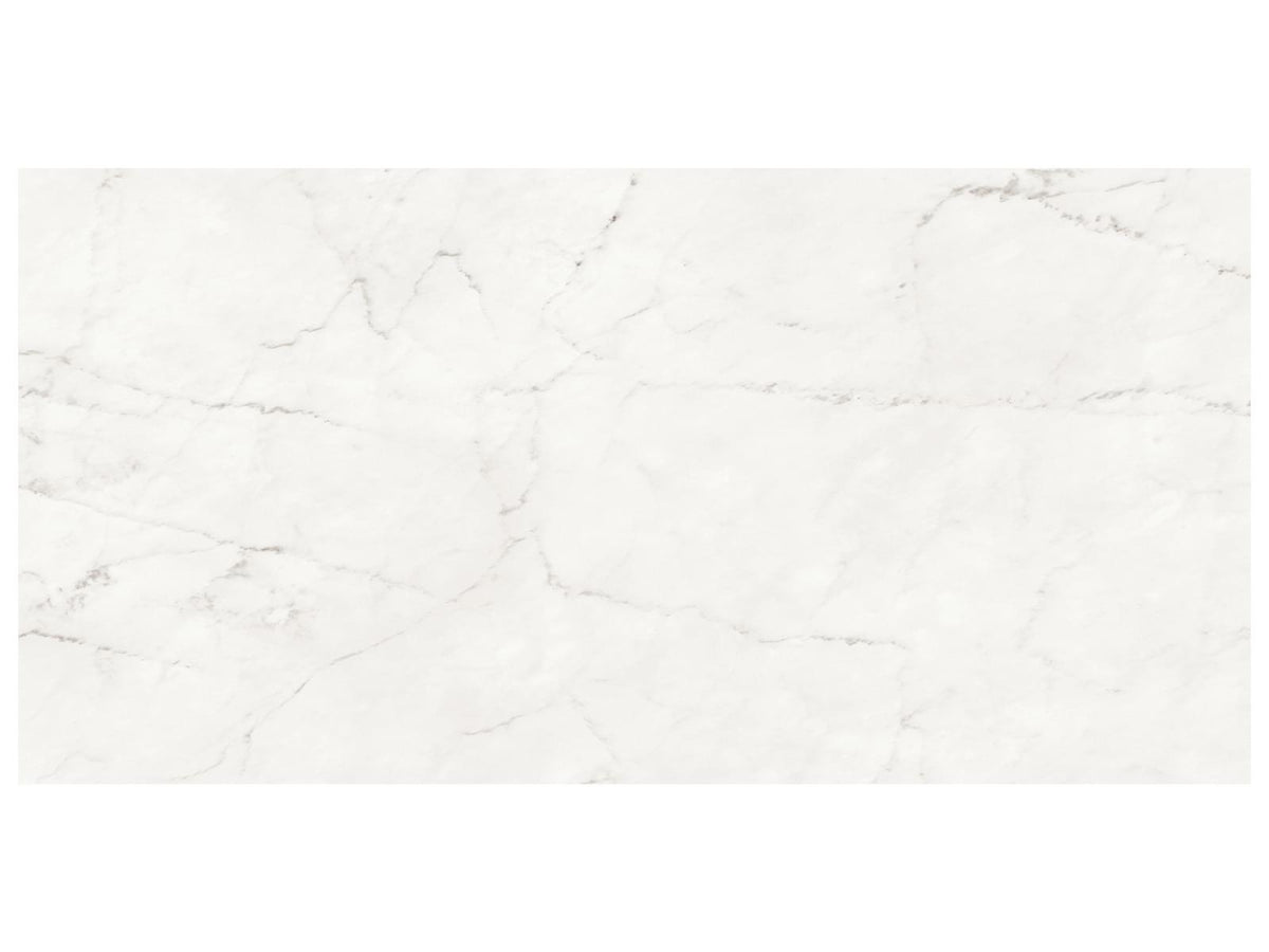 24 x 48 in Majesto Ariel Bianco Honed Rectified Colorsync Porcelain Tile