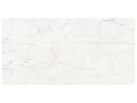 24 x 48 in Majesto Ariel Bianco Honed Rectified Colorsync Porcelain Tile