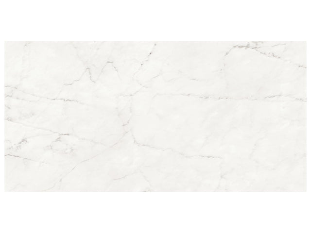 24 x 48 in Majesto Ariel Bianco Polished Rectified Colorsync Porcelain Tile