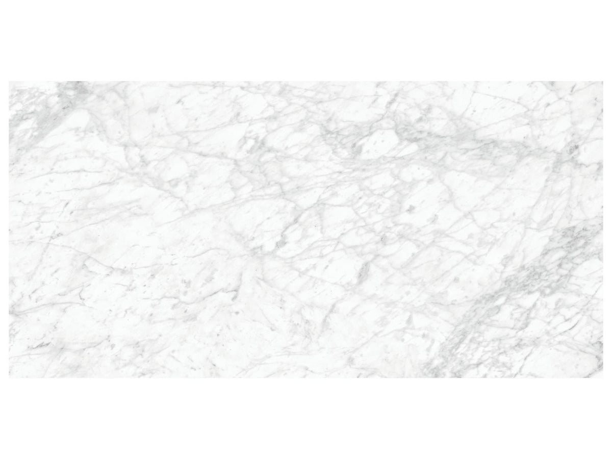 24 x 48 in Majesto Bianco Gioia Honed Rectified Colorsync Porcelain Tile