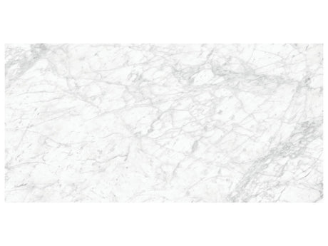 24 x 48 in Majesto Bianco Gioia Honed Rectified Colorsync Porcelain Tile