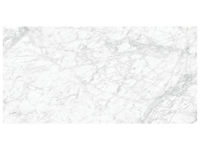 24 x 48 in Majesto Bianco Gioia Honed Rectified Colorsync Porcelain Tile