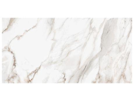 24 x 48 in Majesto Calacatta Oro Polished Rectified Colorsync Porcelain Tile