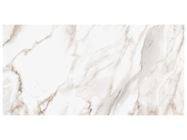 24 x 48 in Majesto Calacatta Oro Honed Rectified Colorsync Porcelain Tile