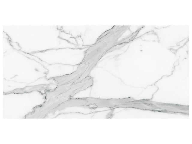 24 x 48 in Majesto Statuario Honed Rectified Colorsync Porcelain Tile