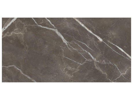 24 x 48 in Majesto Pietra Imperiale Polished Rectified Colorsync Porcelain Tile