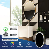 Oval LED Lighted Bathroom Mirror, Modern Touch Switch Dimmable Wall Mounted Mirror ,CCT Remembrance, Lunar Style