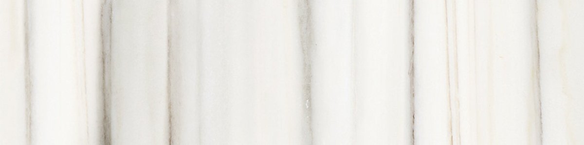 3 X 12 In Mayfair Zebrino Matte Glazed Porcelain Bullnose - BUILDMYPLACE