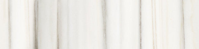 3 X 12 In Mayfair Zebrino Polished Glazed Porcelain Bullnose - BUILDMYPLACE