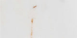 3 X 6 in. Eastern White Polished Marble Tile - BUILDMYPLACE