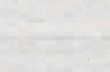 3 X 6 in. Eastern White Polished Marble Tile - BUILDMYPLACE