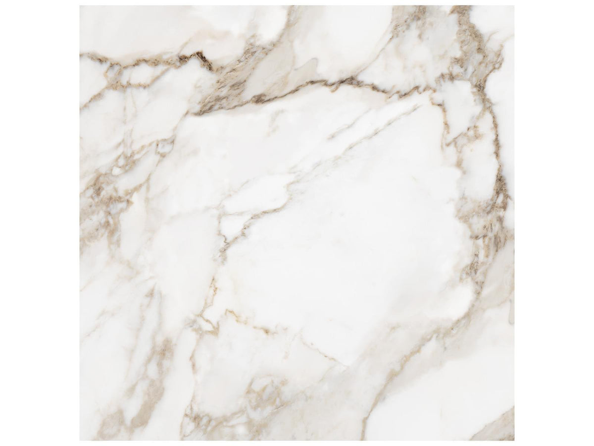 36 x 36 in Majesto Calacatta Oro Honed Rectified Colorsync Porcelain Tile